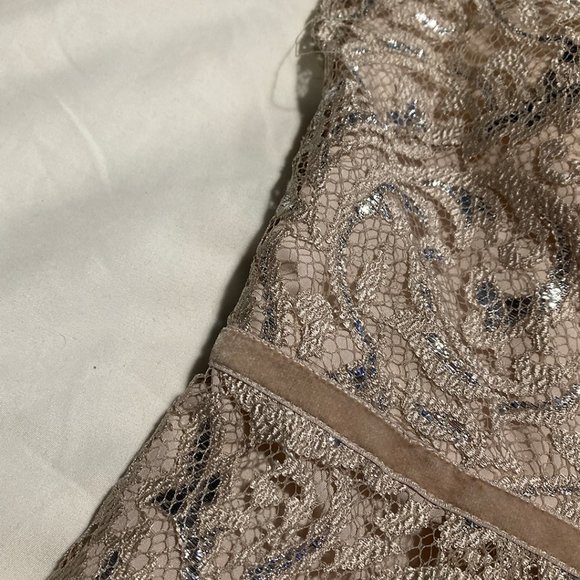 Jenny Yoo Collection Sliver and Cream Lace Cocktail Dress - Picture 9 of 12